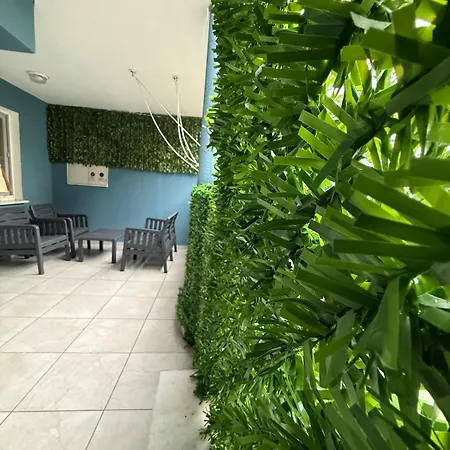 Liva Apartment