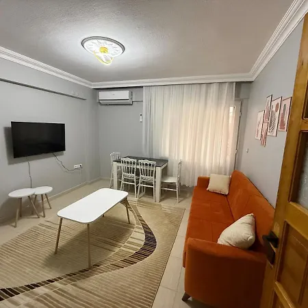 Liva Ayvalı